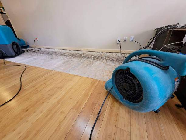 Professional Burst Pipe Water Damage technician working in Savage, MD